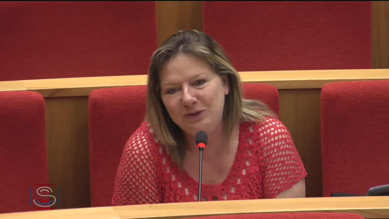 Audition plénière - Audition de Mme Dominique Le Guludec, présidente de la Haute Autorité de Santé