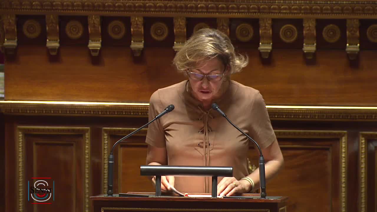 Séance publique du 18 juin 2019 (soir)
