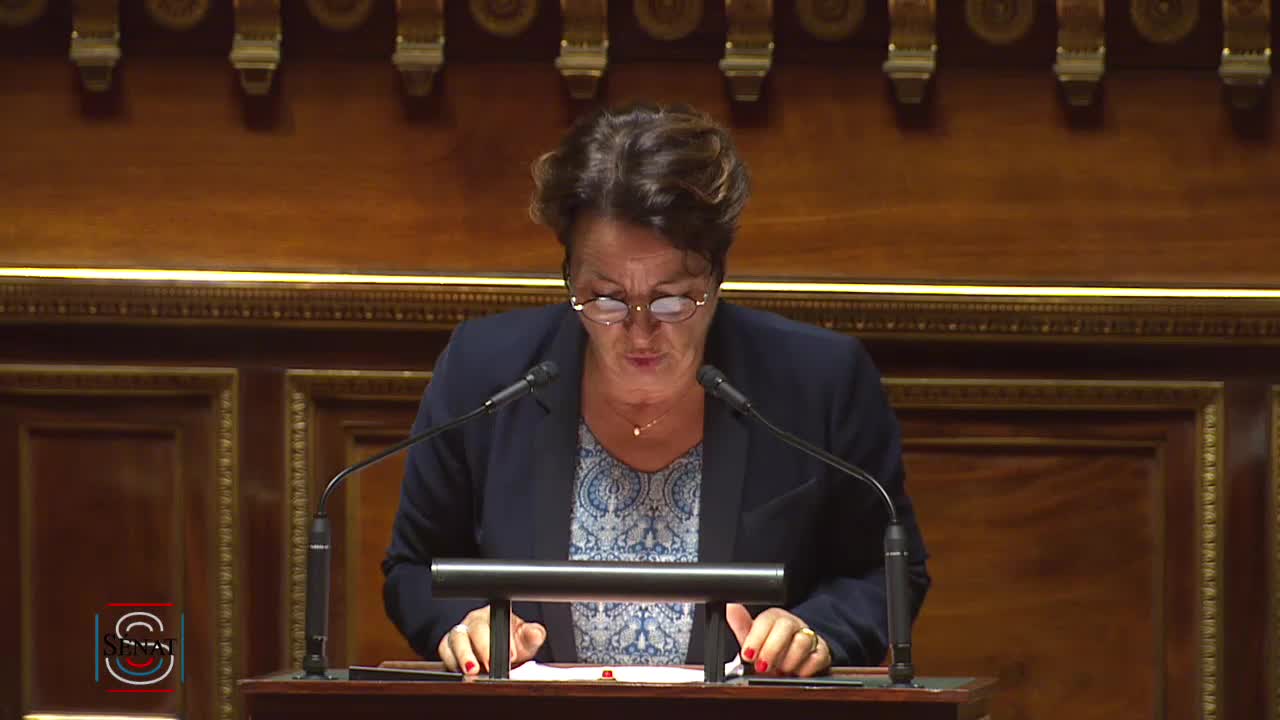 Séance publique du 18 juin 2019 (soir)