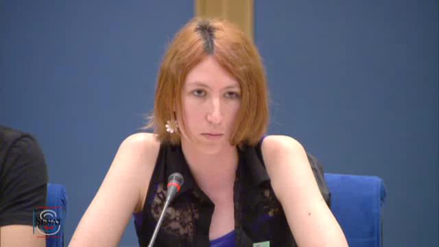 Commission spéciale sur la lutte contre le système prostitutionnel