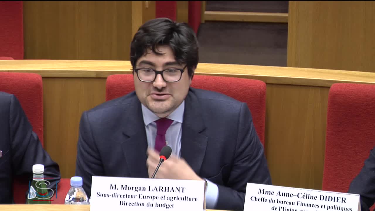 Audition de M. Morgan Larhant, sous-directeur Europe et agriculture à la direction du budget du ministère de l’action et des comptes publics, et Mme Anne–Céline Didier, cheffe du bureau Finances et politiques de l'Union européenne.