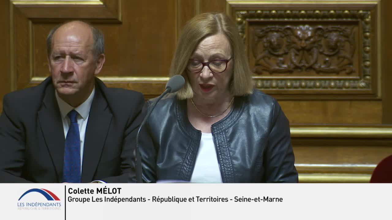 Séance publique du 20 juin 2019 (après-midi)