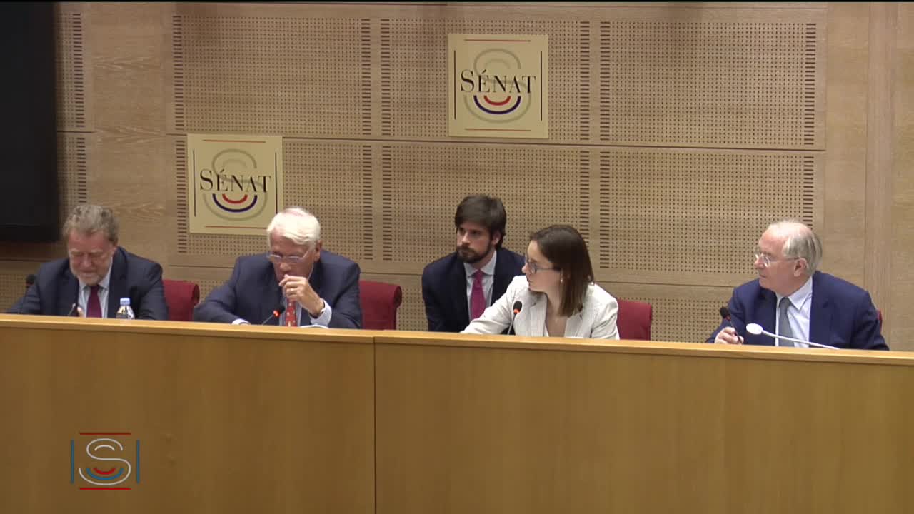 Débat préalable au Conseil européen des 20 et 21 juin