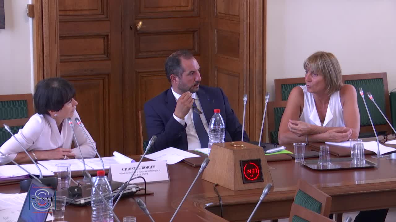 Audition de Mme Christel Bories