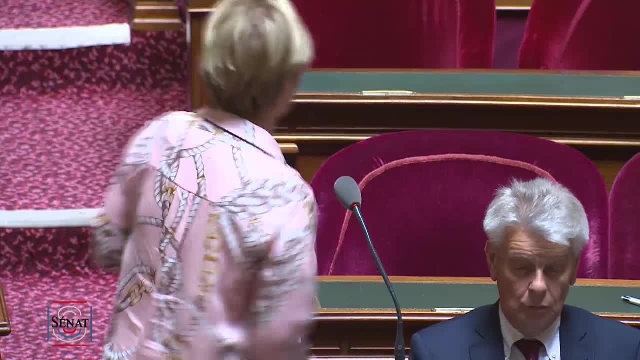 Séance publique du 25 juin 2019 (après-midi)