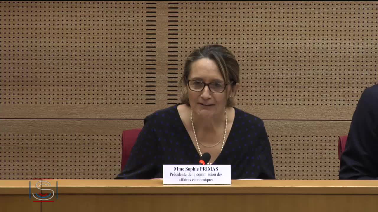 Table ronde sur le thème de la qualité frauduleuse des steaks hachés fournis aux associations caritatives
