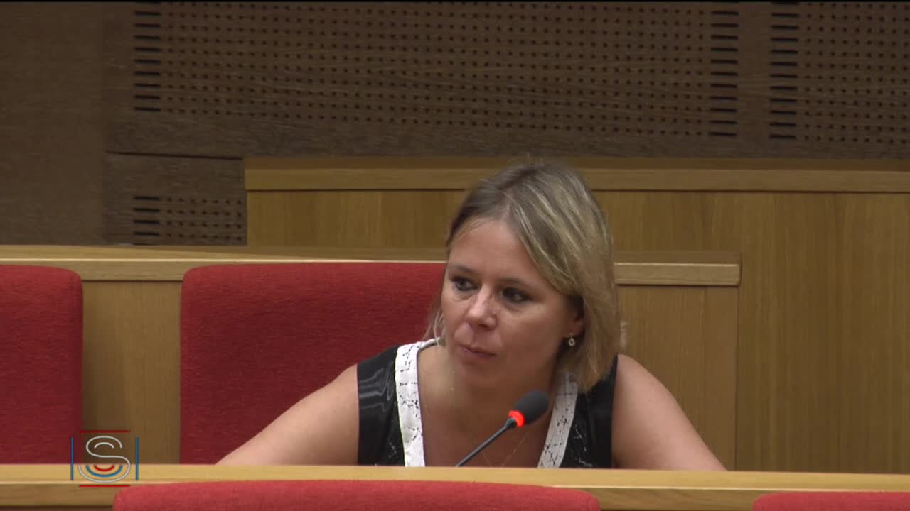 Table ronde sur le thème de la qualité frauduleuse des steaks hachés fournis aux associations caritatives