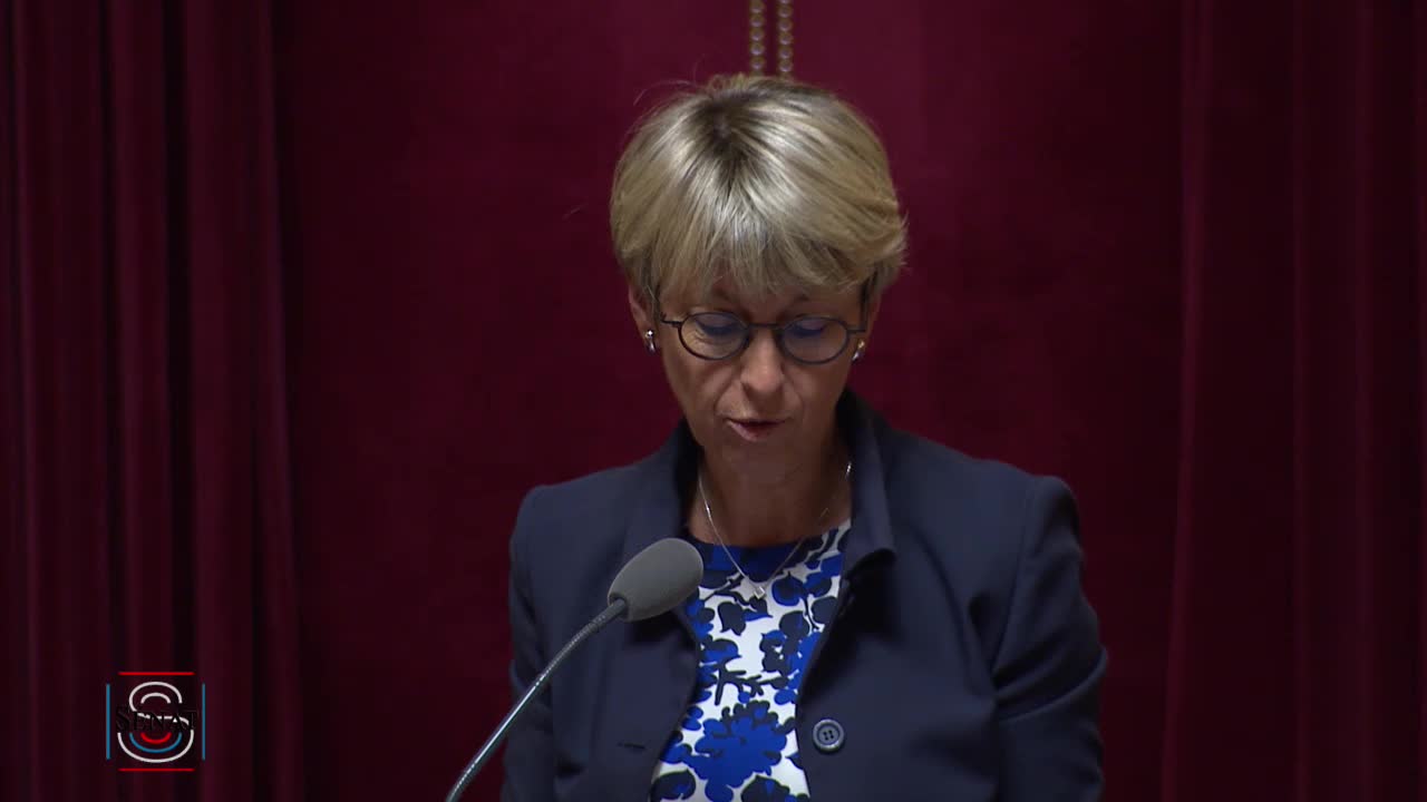 Séance publique du 2 juillet 2019 (matin)