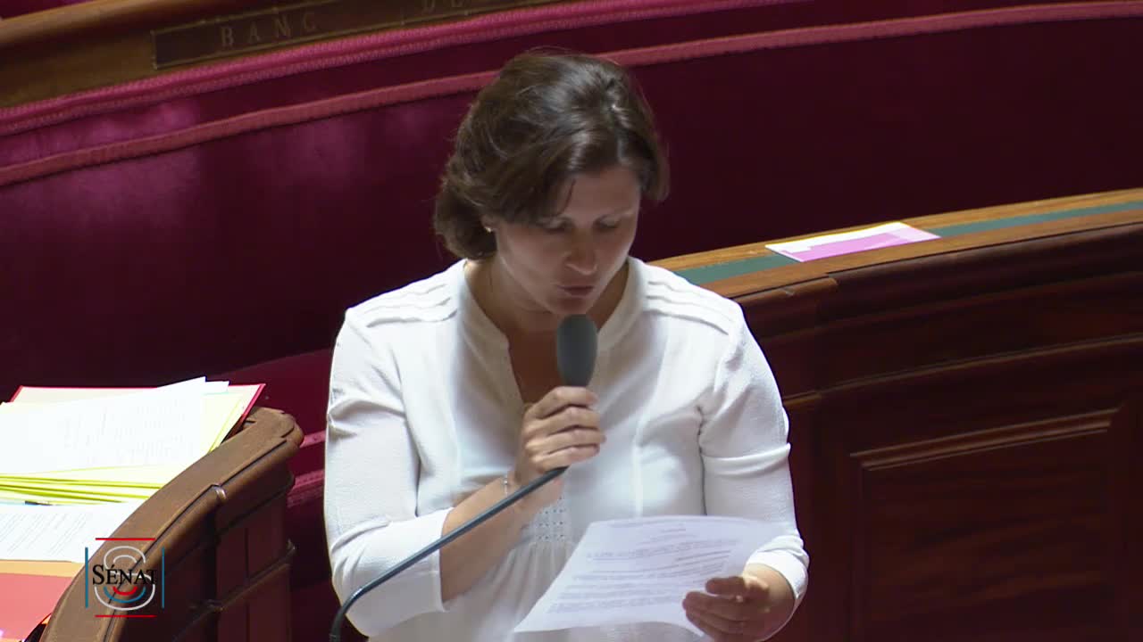 Séance publique du 2 juillet 2019 (après-midi)