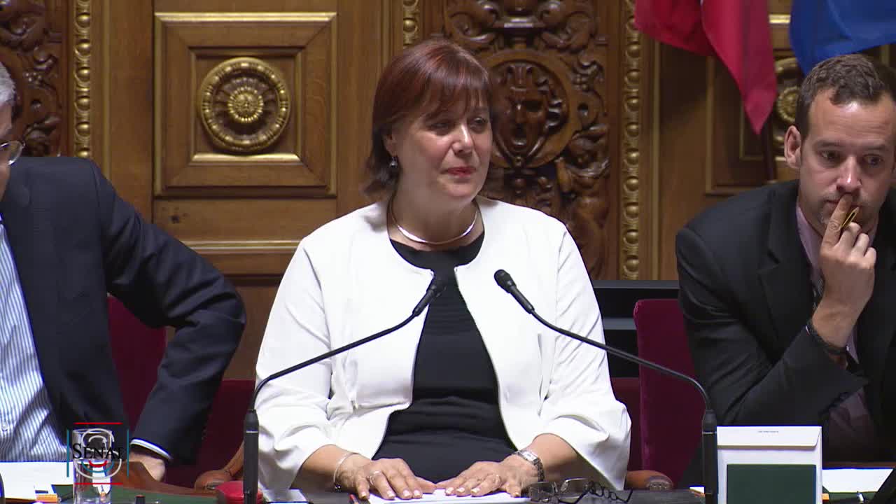 Séance publique du 2 juillet 2019 (après-midi)