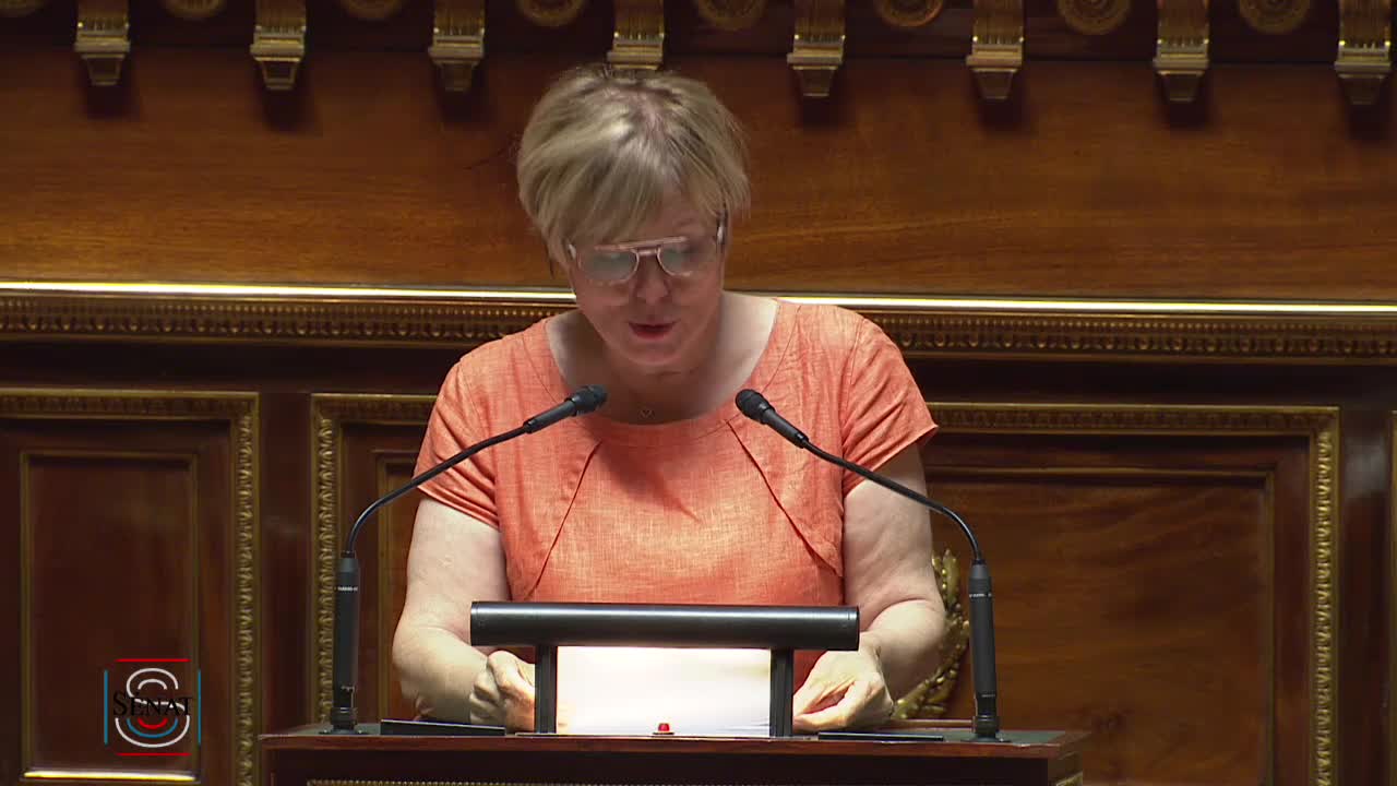 Séance publique du 2 juillet 2019 (après-midi)