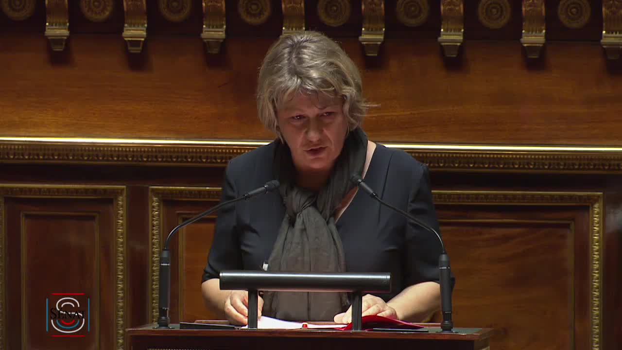 Séance publique du 2 juillet 2019 (après-midi)