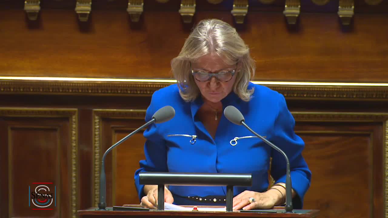 Séance publique du 3 juillet 2019 (après-midi)