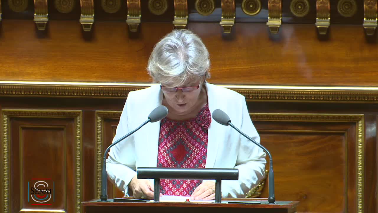 Séance publique du 3 juillet 2019 (après-midi)