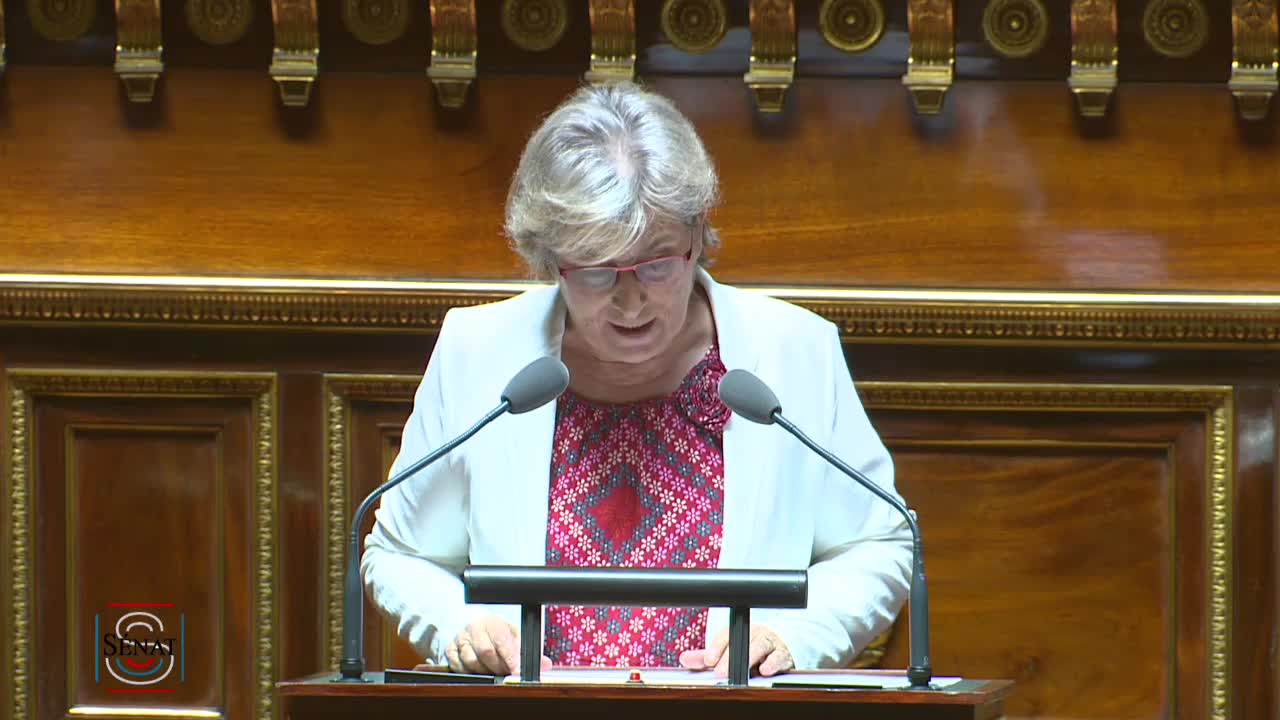 Séance publique du 3 juillet 2019 (après-midi)