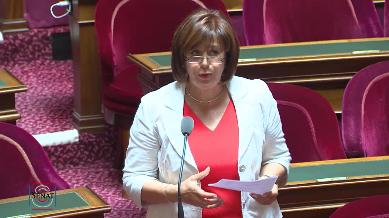 Séance publique du 3 juillet 2019 (après-midi)