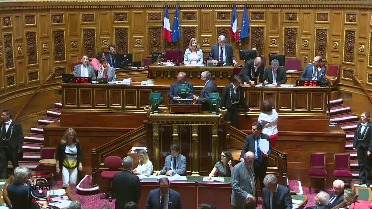 Séance publique du 3 juillet 2019 (après-midi)