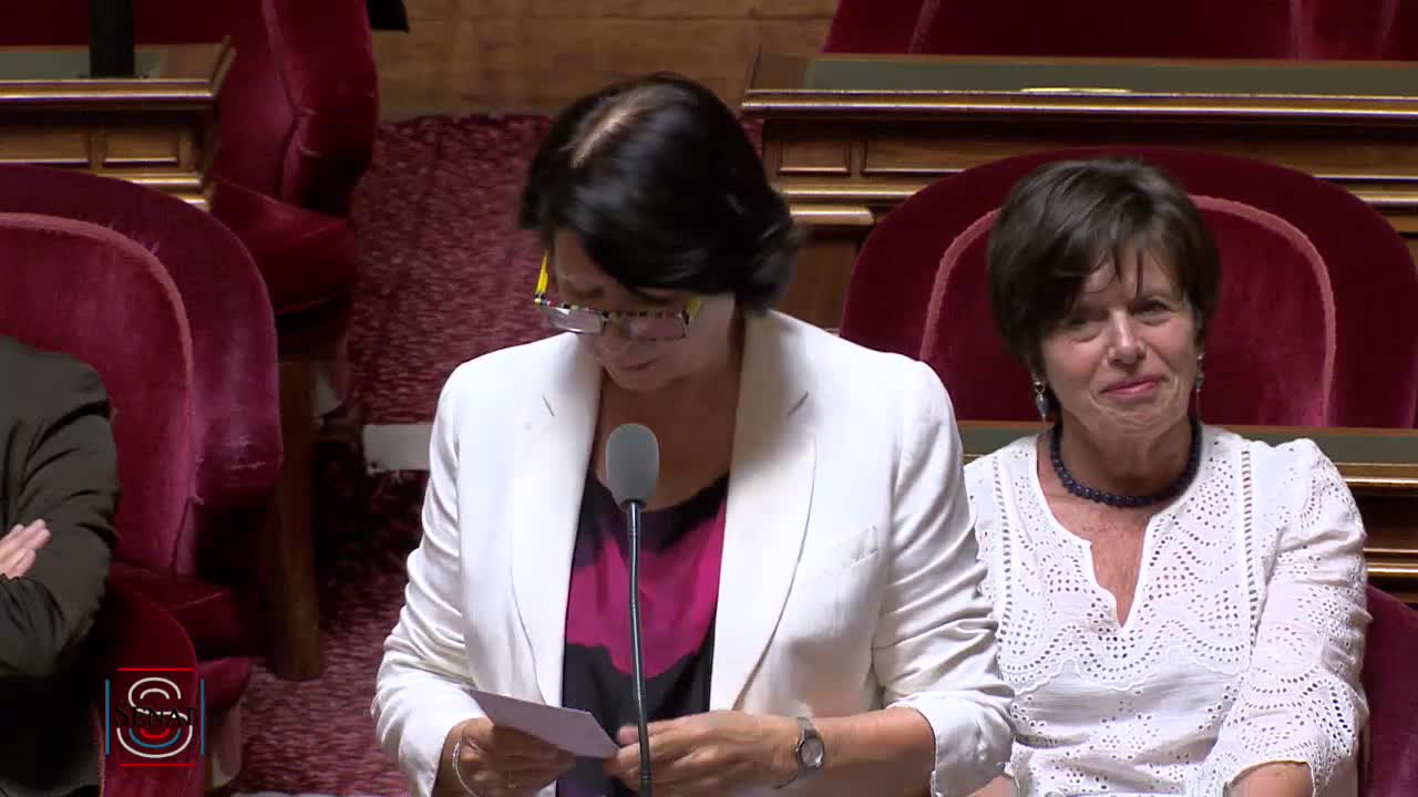 Séance publique du 4 juillet 2019 (après-midi)