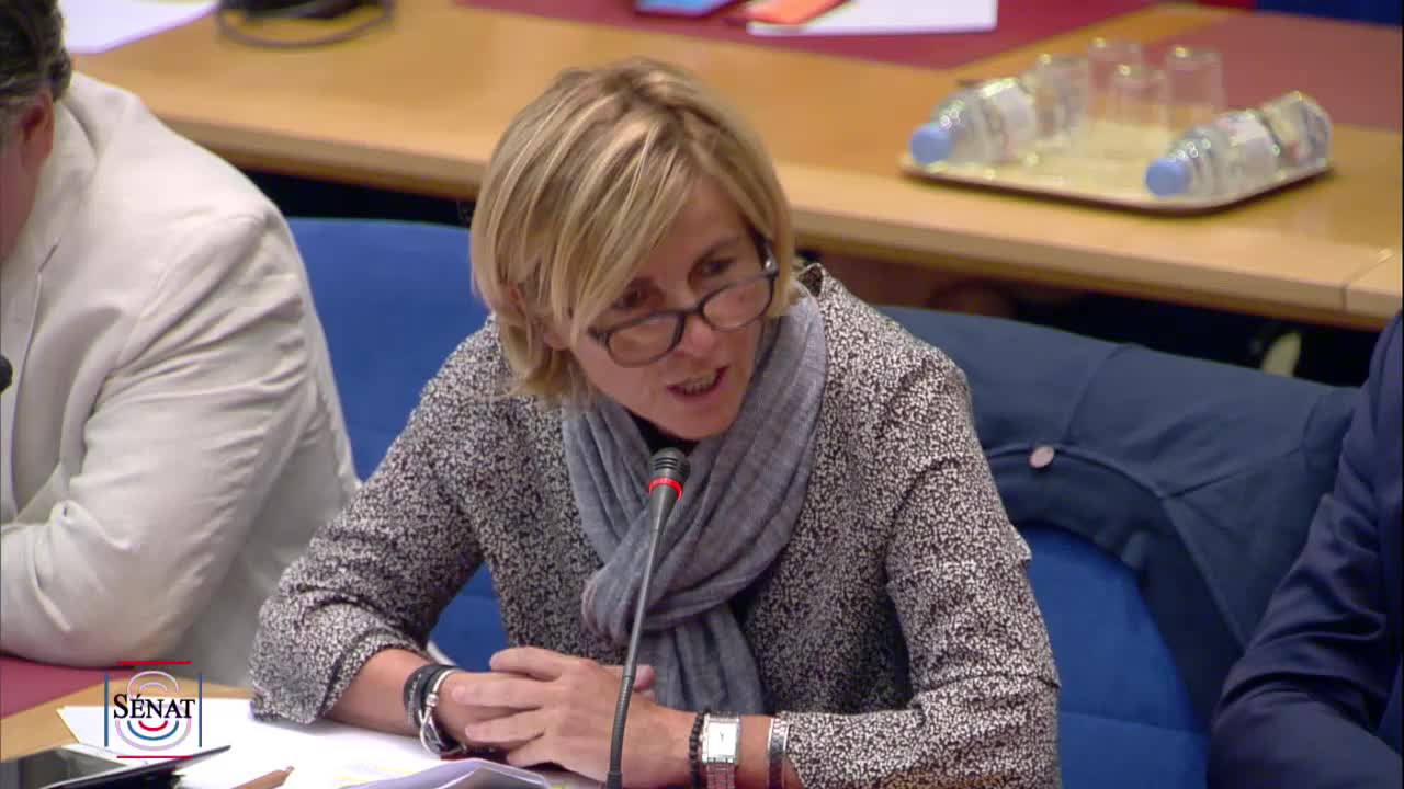Audition de Mme Muriel Pénicaud, ministre du travail, sur la réforme de l’assurance chômage
