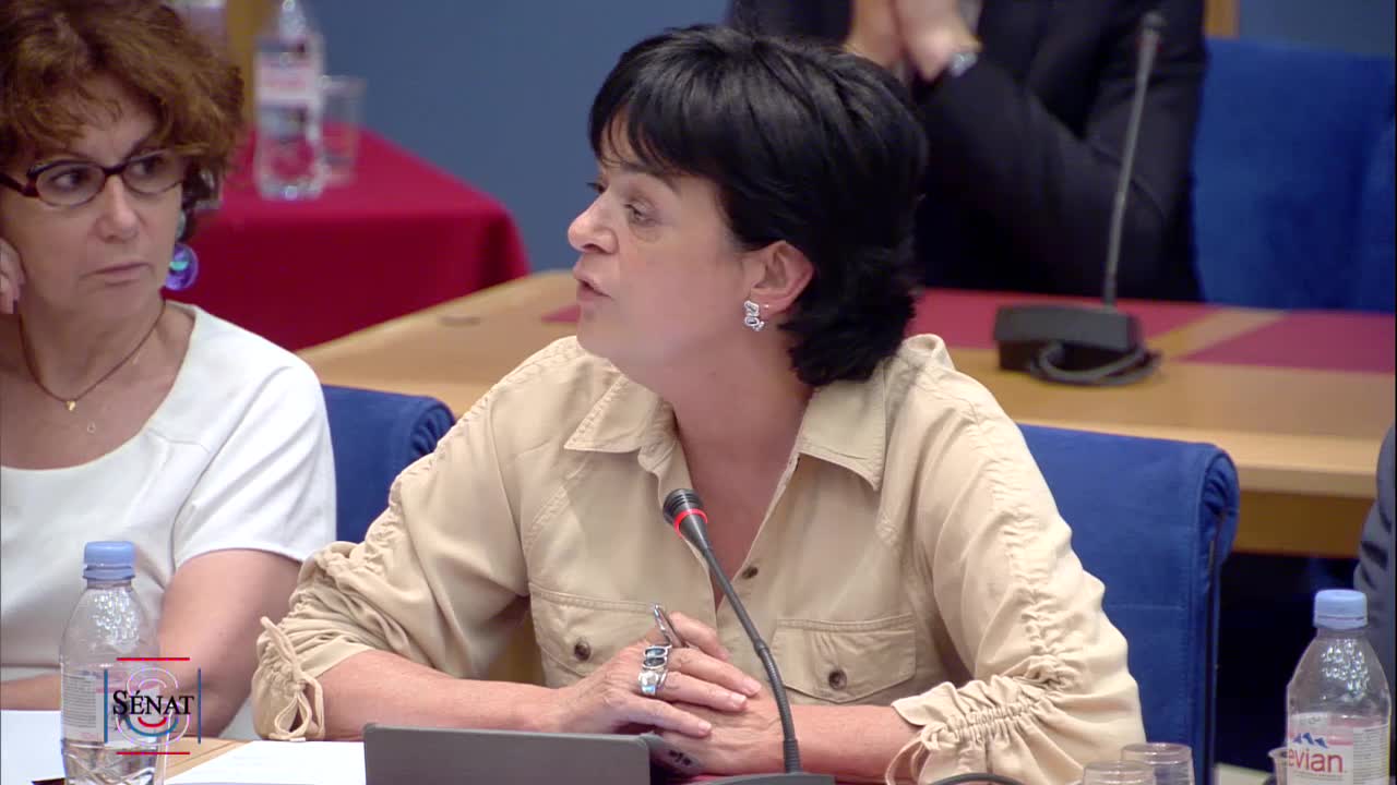 Audition de Mme Muriel Pénicaud, ministre du travail, sur la réforme de l’assurance chômage