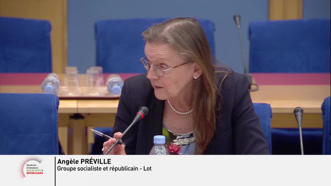 Audition plénière - Mobilité (travaux de contrôle) - Table ronde sur les enjeux de la mise en application de la loi "Nouveau pacte ferroviaire"
