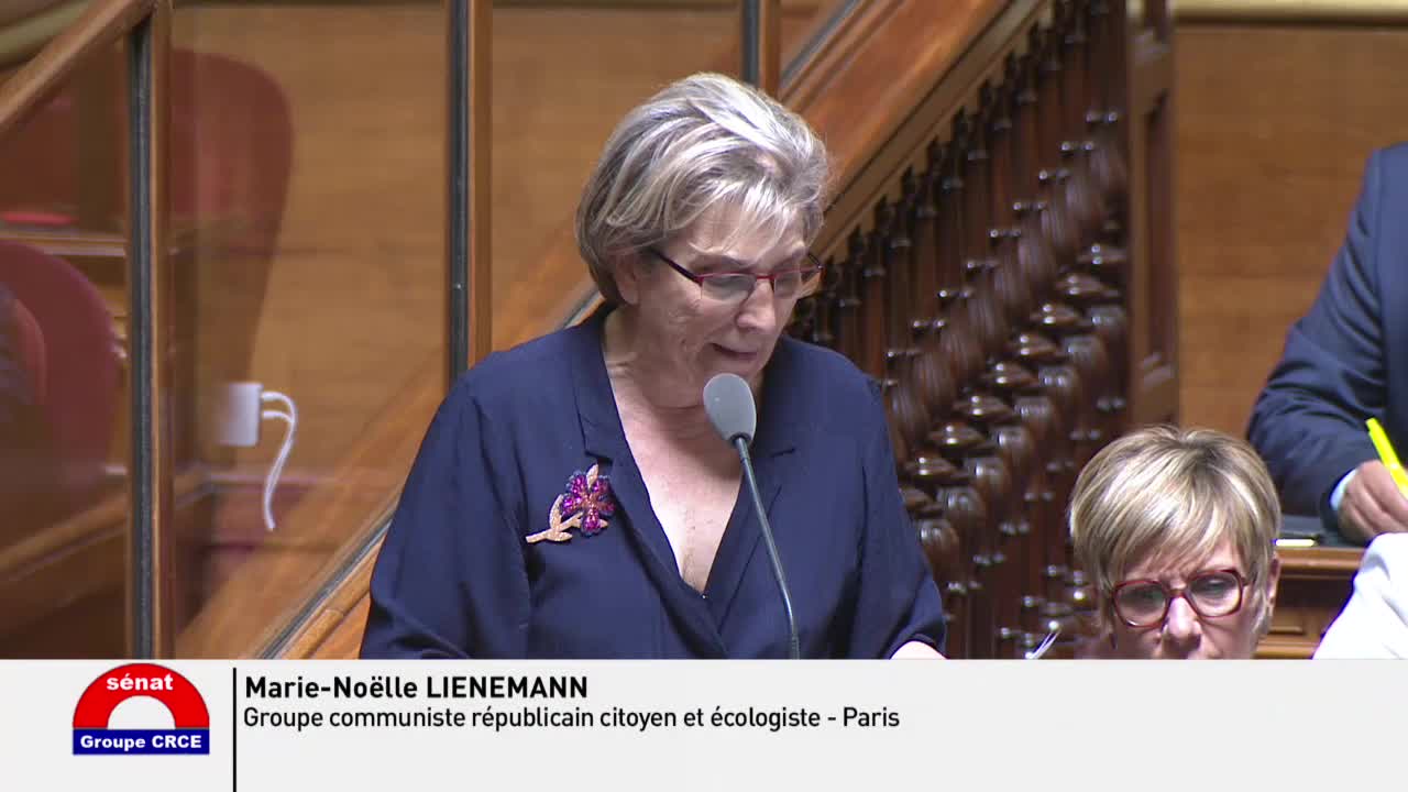 Séance publique du 9 juillet 2019 (après-midi)