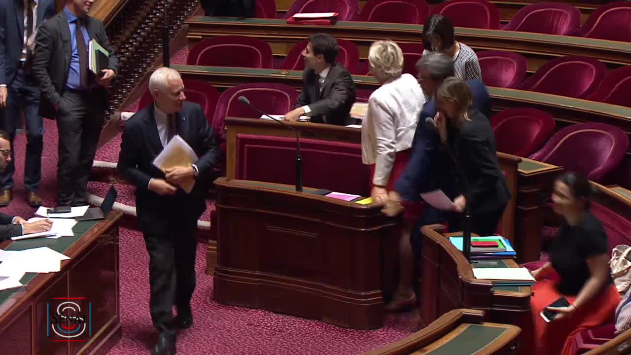 Séance publique du 10 juillet 2019 (après-midi)
