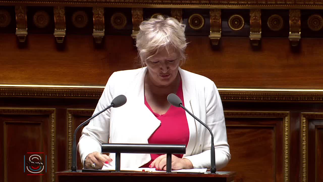 Séance publique du 10 juillet 2019 (après-midi)