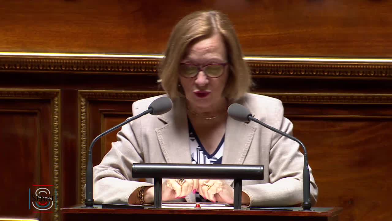 Séance publique du 10 juillet 2019 (après-midi)