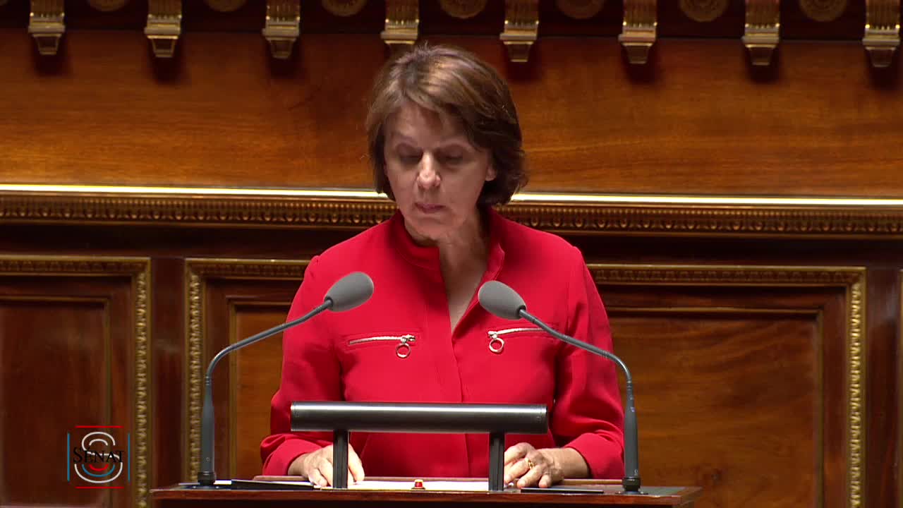 Séance publique du 10 juillet 2019 (après-midi)