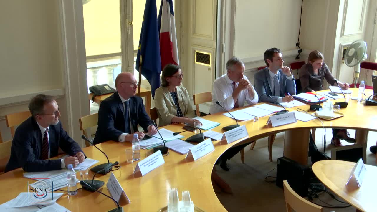 Audition commune de Mme Marie-Agnès Vibert, M. Yves Auffret et M. Frédéric Gueudar Delahaye