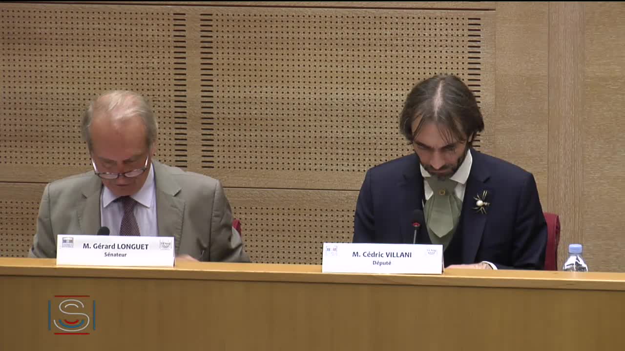 Audition plénière - EPR de Flamanville