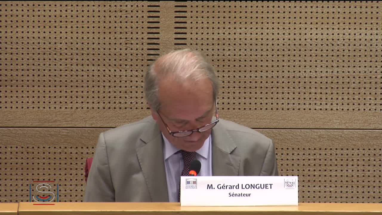 Audition plénière - EPR de Flamanville