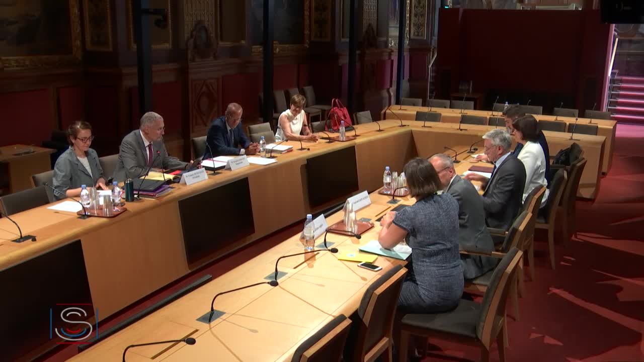 Auditions de la commission d'enquête sur la souveraineté numérique