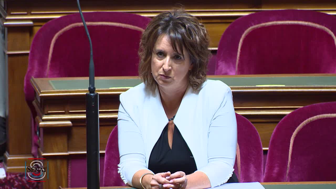 Séance publique du 16 juillet 2019 (matin)