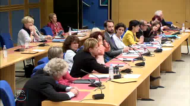 Commission spéciale sur la lutte contre le système prostitutionnel