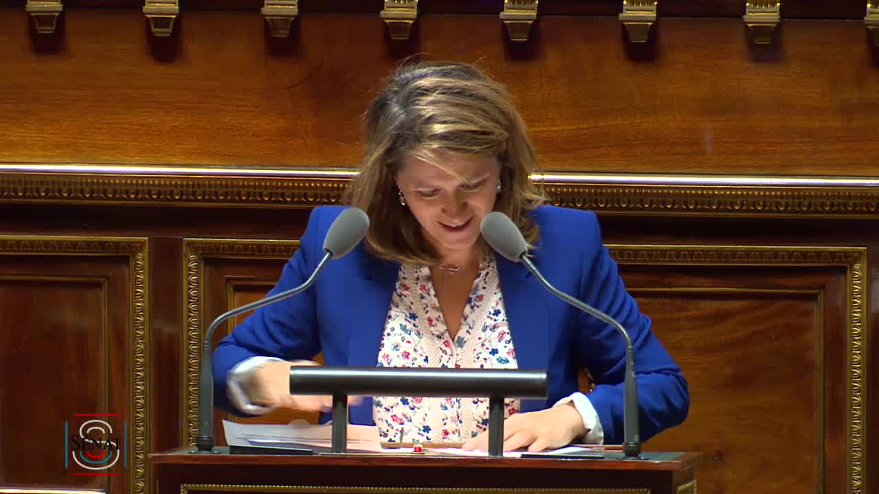 Séance publique du 16 juillet 2019 (après-midi)