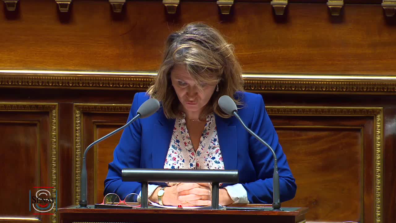 Séance publique du 16 juillet 2019 (après-midi)