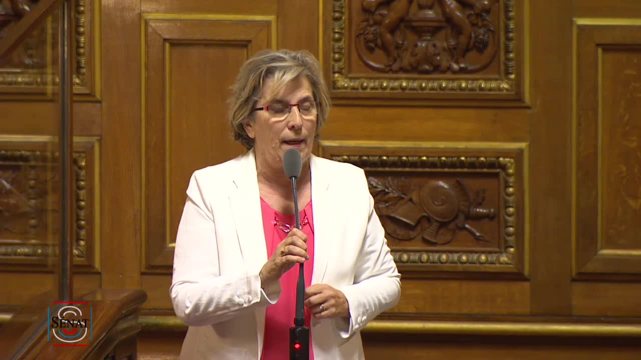 Séance publique du 16 juillet 2019 (soir)