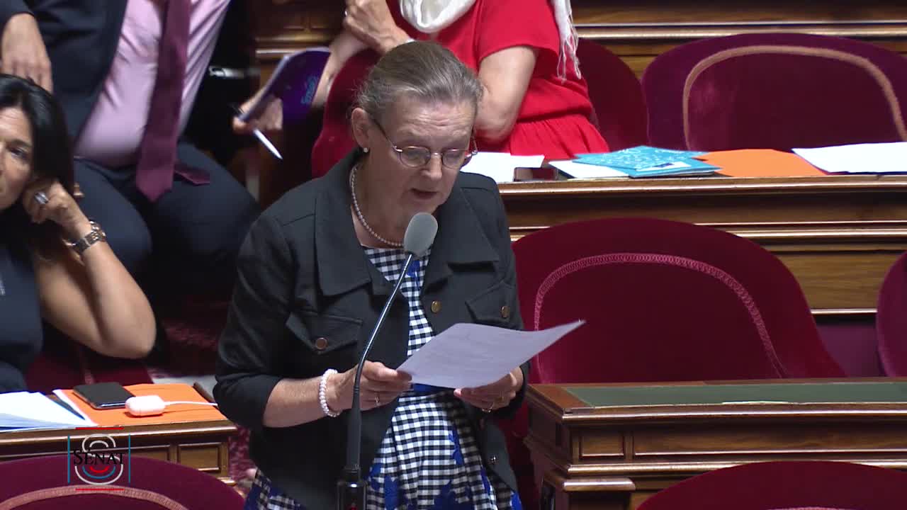 Séance publique du 17 juillet 2019 (après-midi)