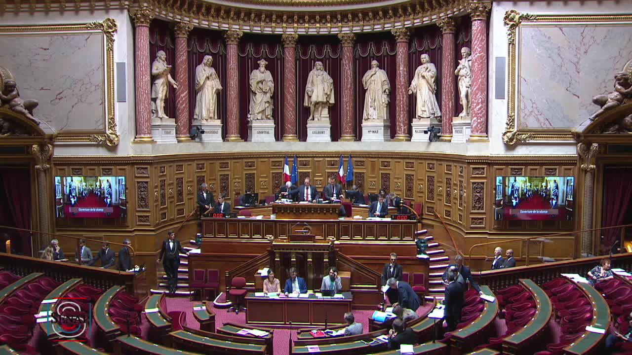 Séance publique du 17 juillet 2019 (après-midi)