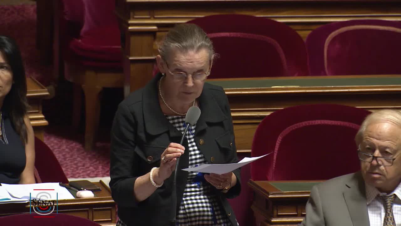 Séance publique du 17 juillet 2019 (soir)