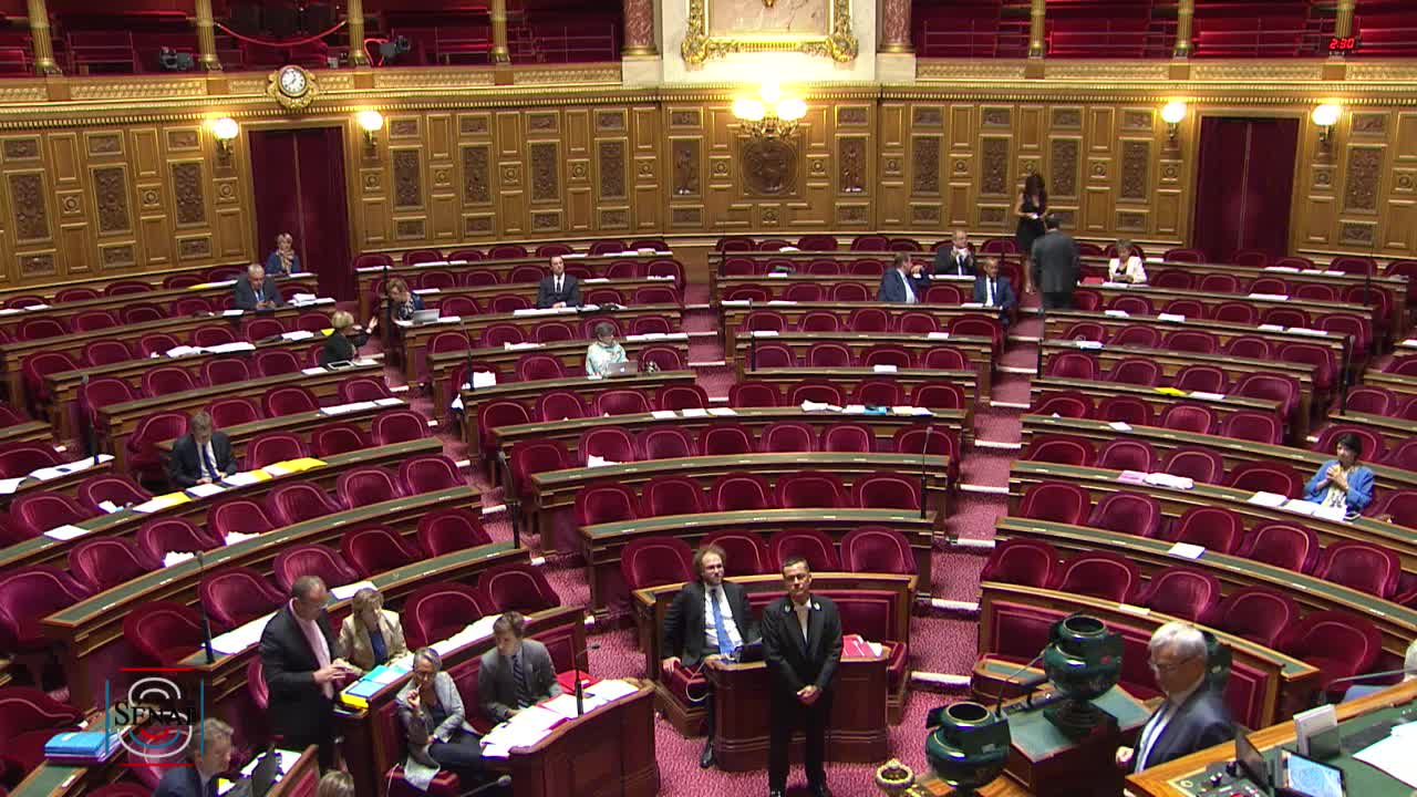 Séance publique du 17 juillet 2019 (soir)