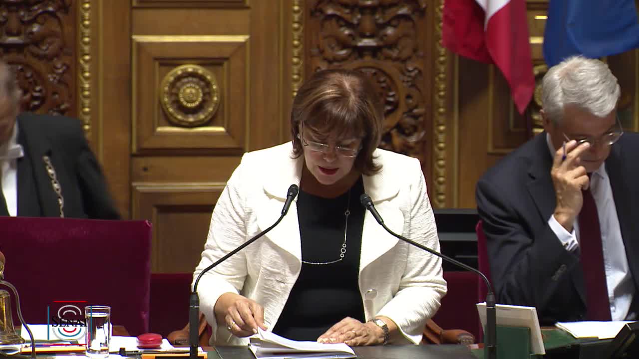 Séance publique du 17 juillet 2019 (soir)