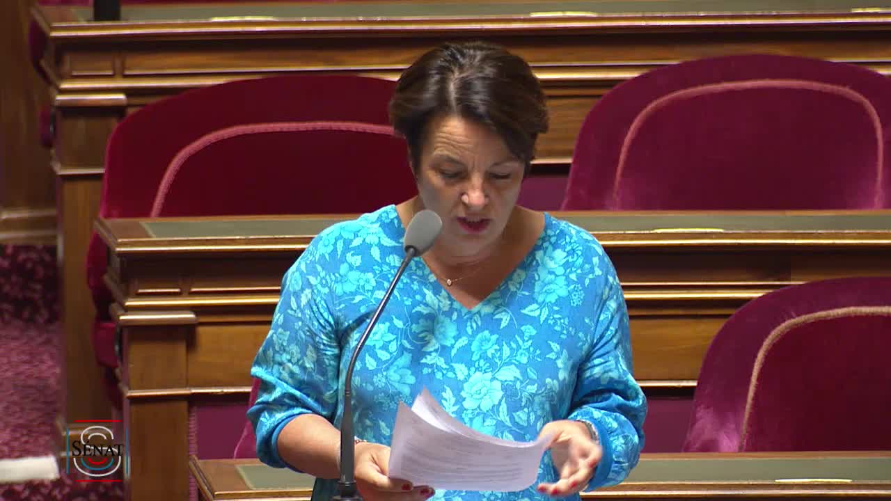 Séance publique du 17 juillet 2019 (soir)