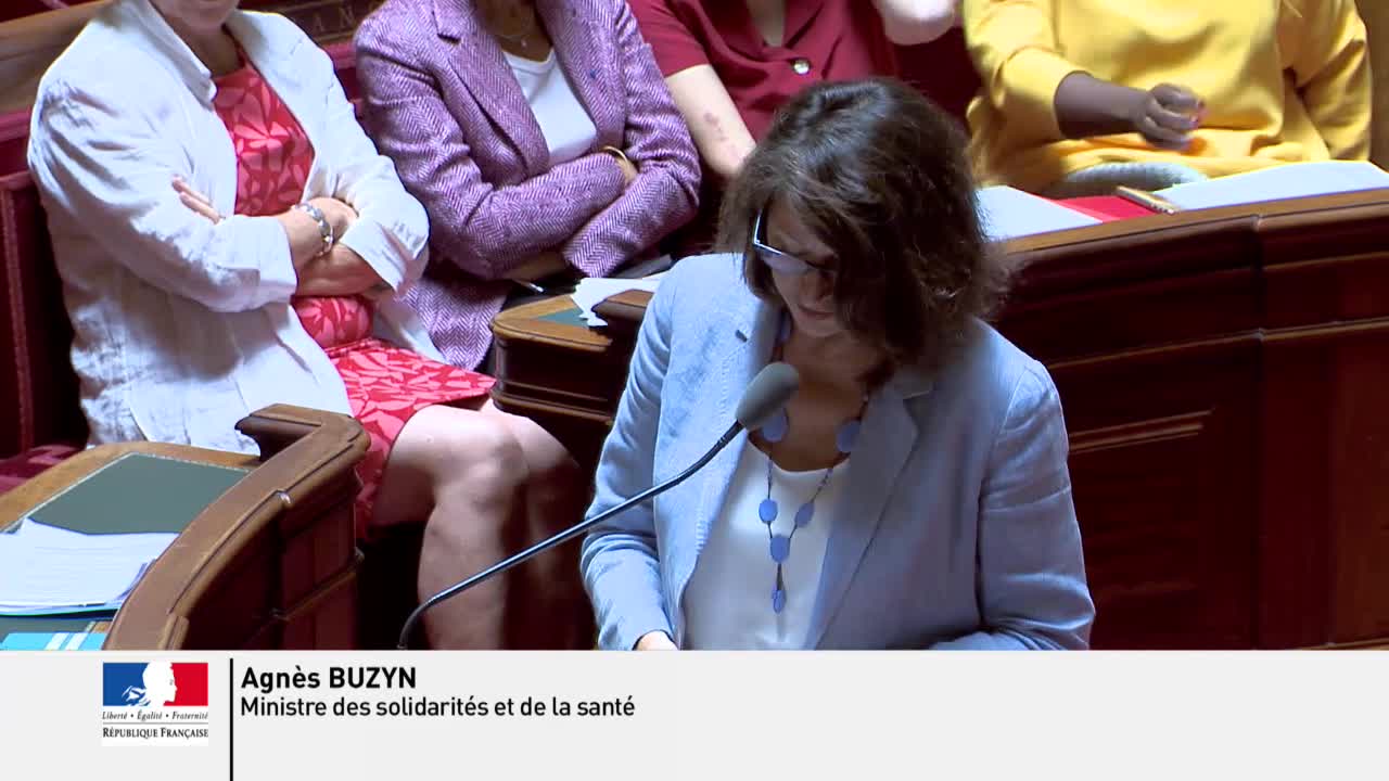 Séance publique du 18 juillet 2019 (après-midi)
