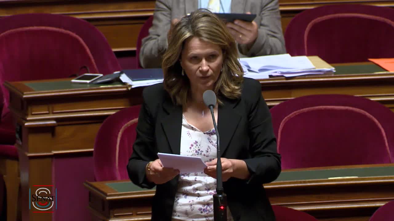 Séance publique du 18 juillet 2019 (après-midi)