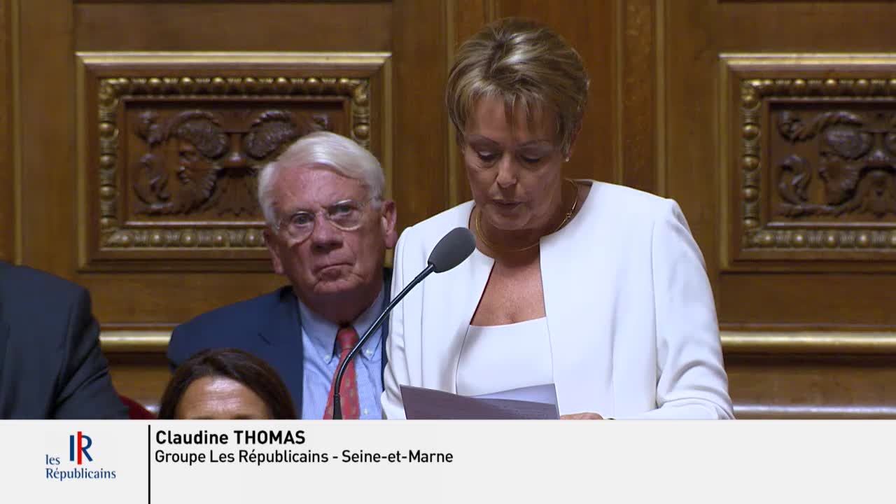 Séance publique du 18 juillet 2019 (après-midi)