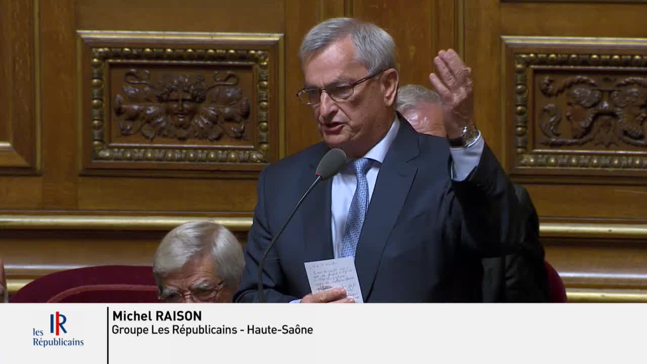 Séance publique du 18 juillet 2019 (après-midi)