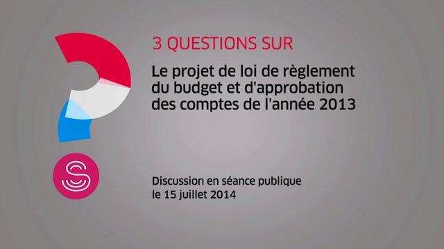 Approbation des comptes de l'année 2013